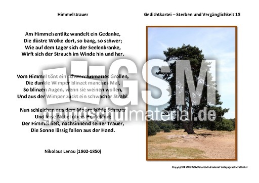 Himmelstrauer-Lenau.pdf
